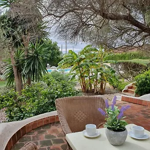 Hibiscus , Cala Pi (Mallorca) Spanje